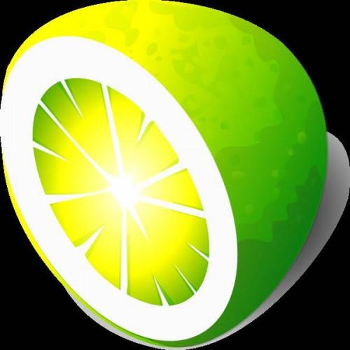 Hvordan bli kvitt alle Limewire nedlastinger i PC