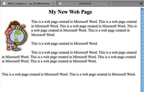 Hva Microsoft programmene kan brukes til å lage en nettside?