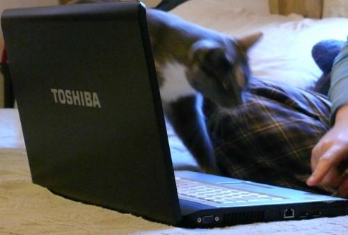 Hvordan fikse en Upside Down Windows Screen på en Toshiba laptop