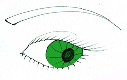 Hvordan Paint Grønne øyne i Photoshop