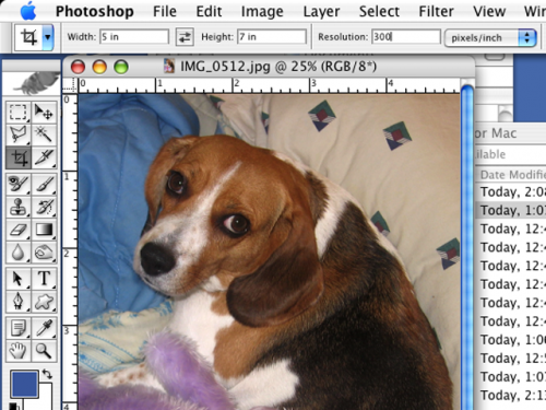 Hvordan bruke Photoshop for Mac
