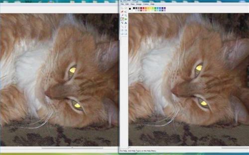 Hvordan man kan sammenligne GIF-filer til JPEG-filer
